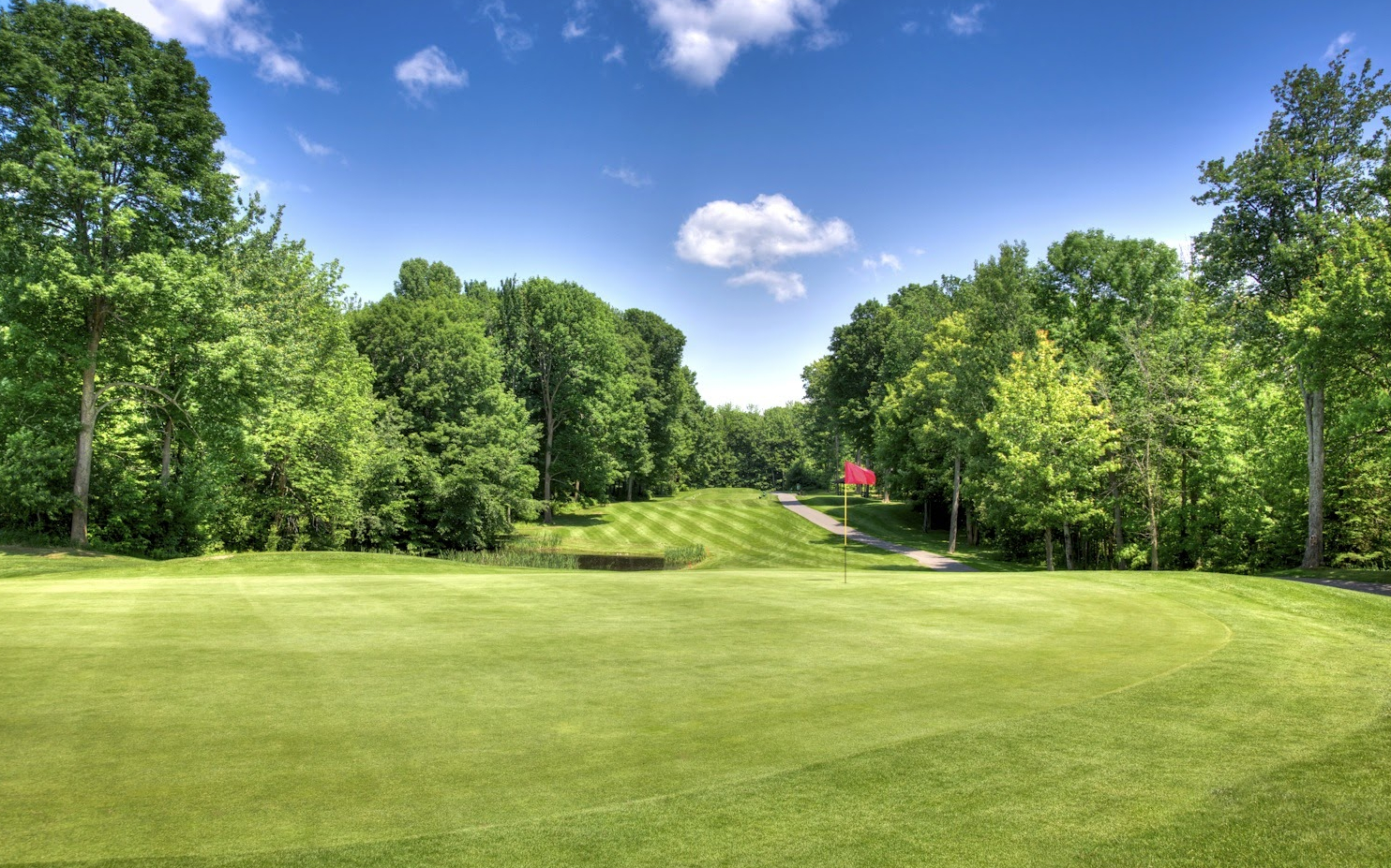 ClubEG.golf One club, 50 courses and events for every type of golfer